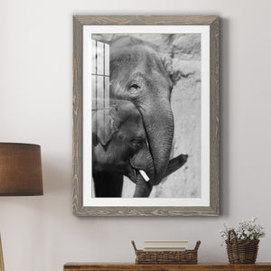 Tender Moment - Barnwood Framed Art Print