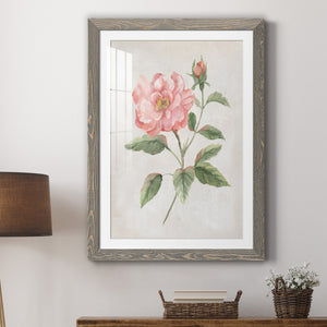 Grandiflora II - Barnwood Framed Art Print