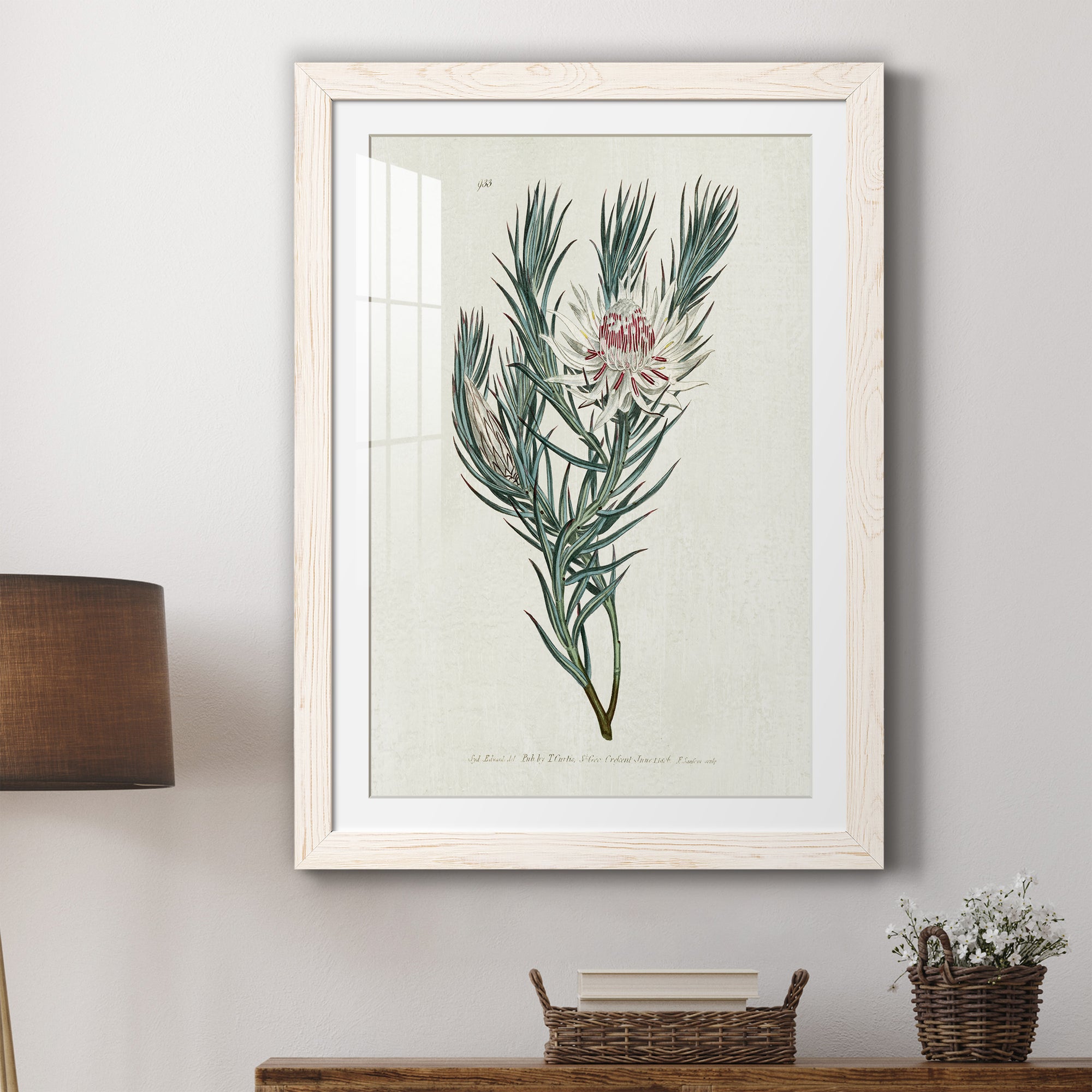 Protea N33 - Barnwood Framed Art Print