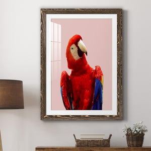 Honduras Wildlife - Barnwood