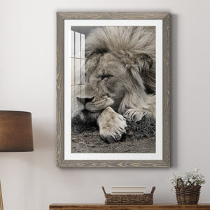 Sleepy Afternoon in Masai Mara - Barnwood Framed Art Print