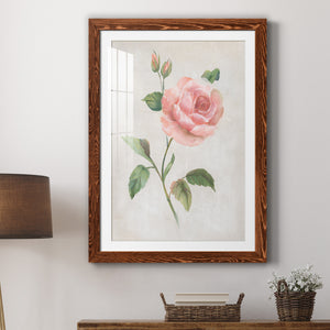 Grandiflora I - Barnwood Framed Art Print