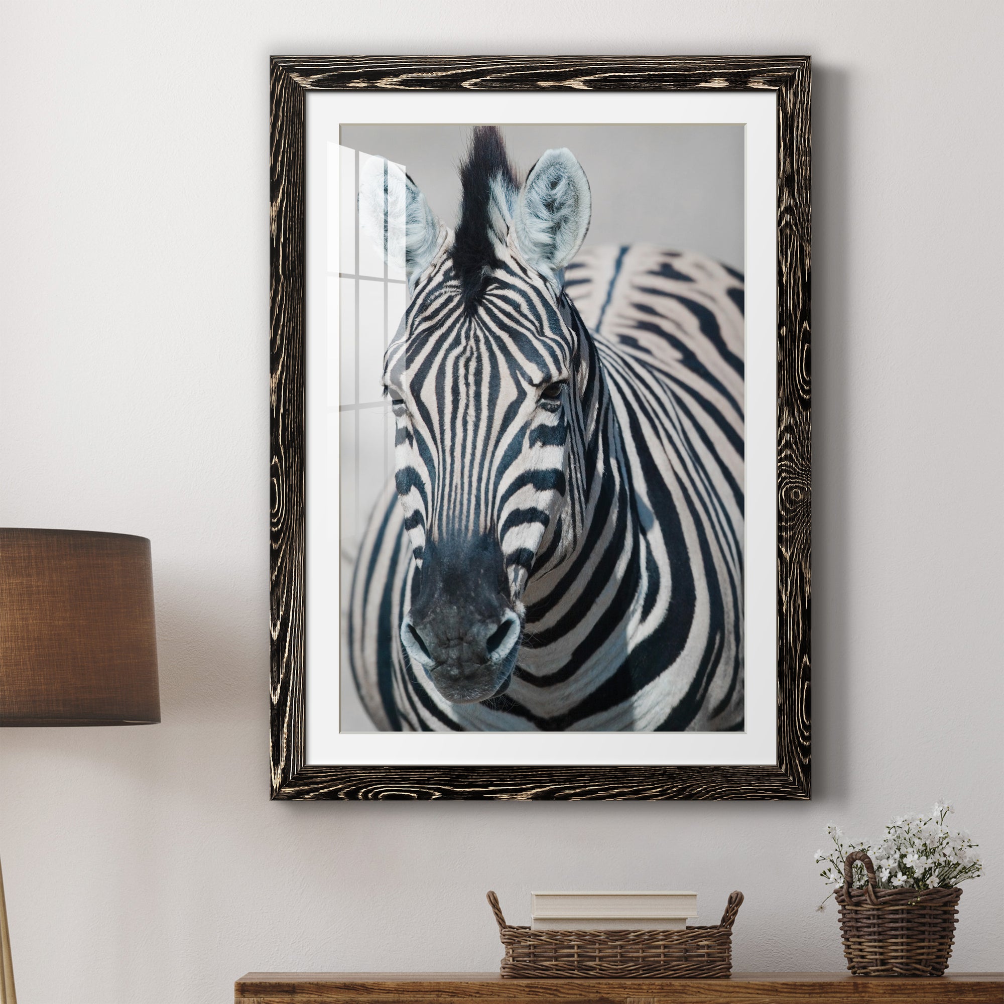 Namibia Zebra - Premium Framed Print - Distressed Barnwood Frame - Ready to Hang