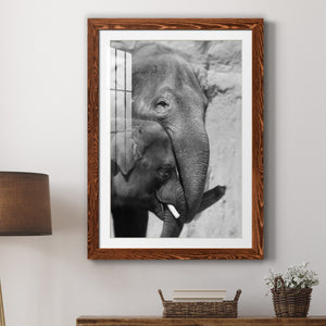 Tender Moment - Barnwood Framed Art Print