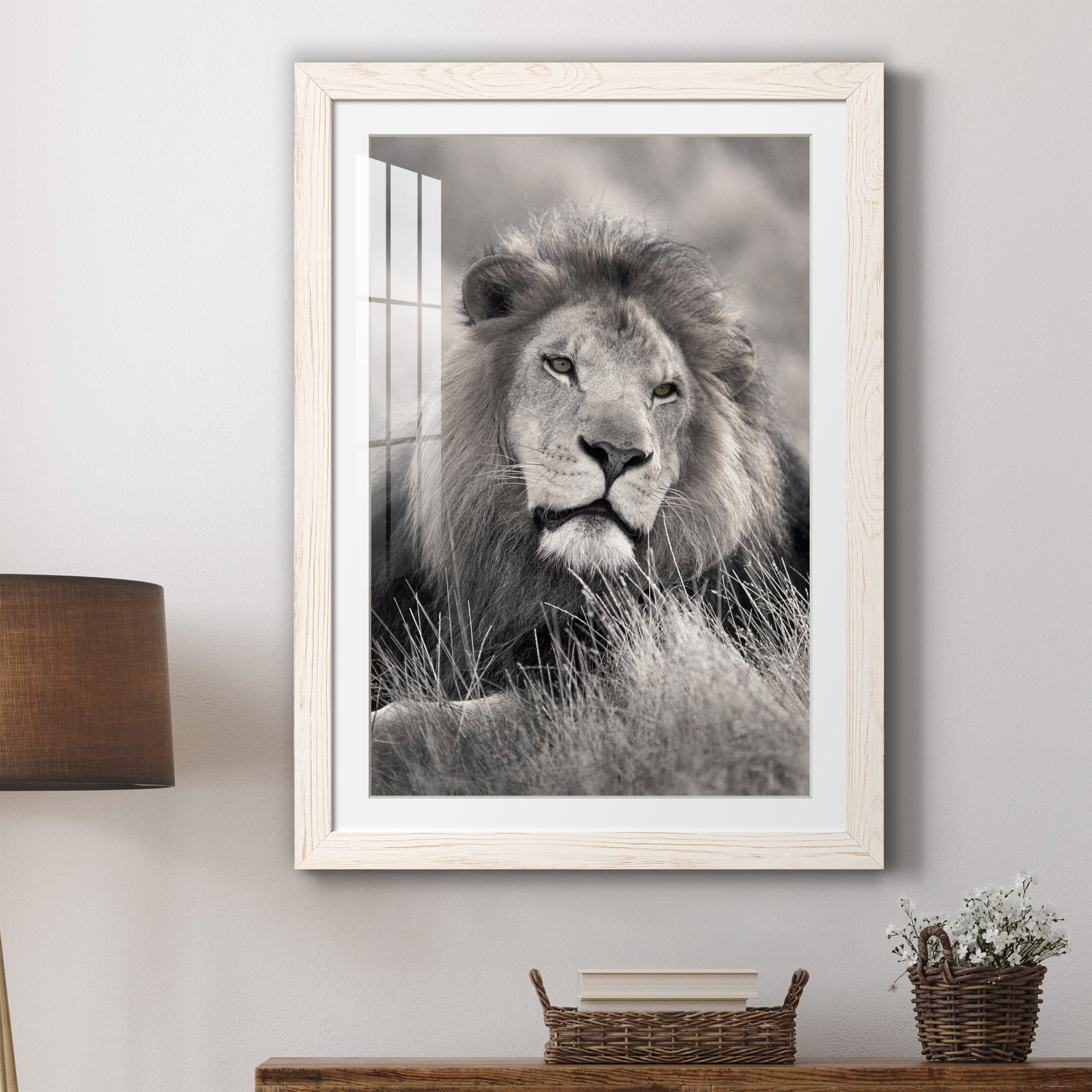 Pride of the Pride - Barnwood Framed Art Print