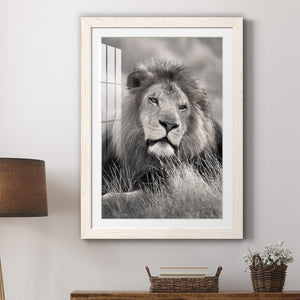 Pride of the Pride - Barnwood Framed Art Print