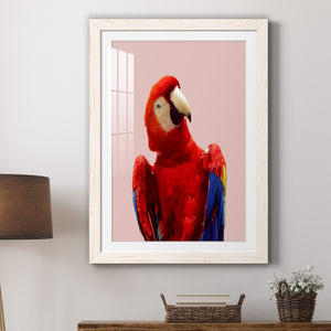 Honduras Wildlife - Barnwood