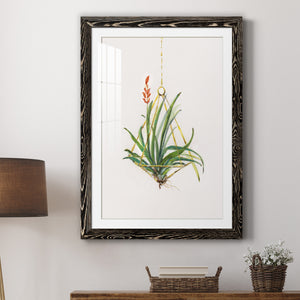 Gardenaire I - Barnwood Framed Art Print