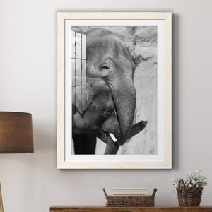 Tender Moment - Barnwood Framed Art Print