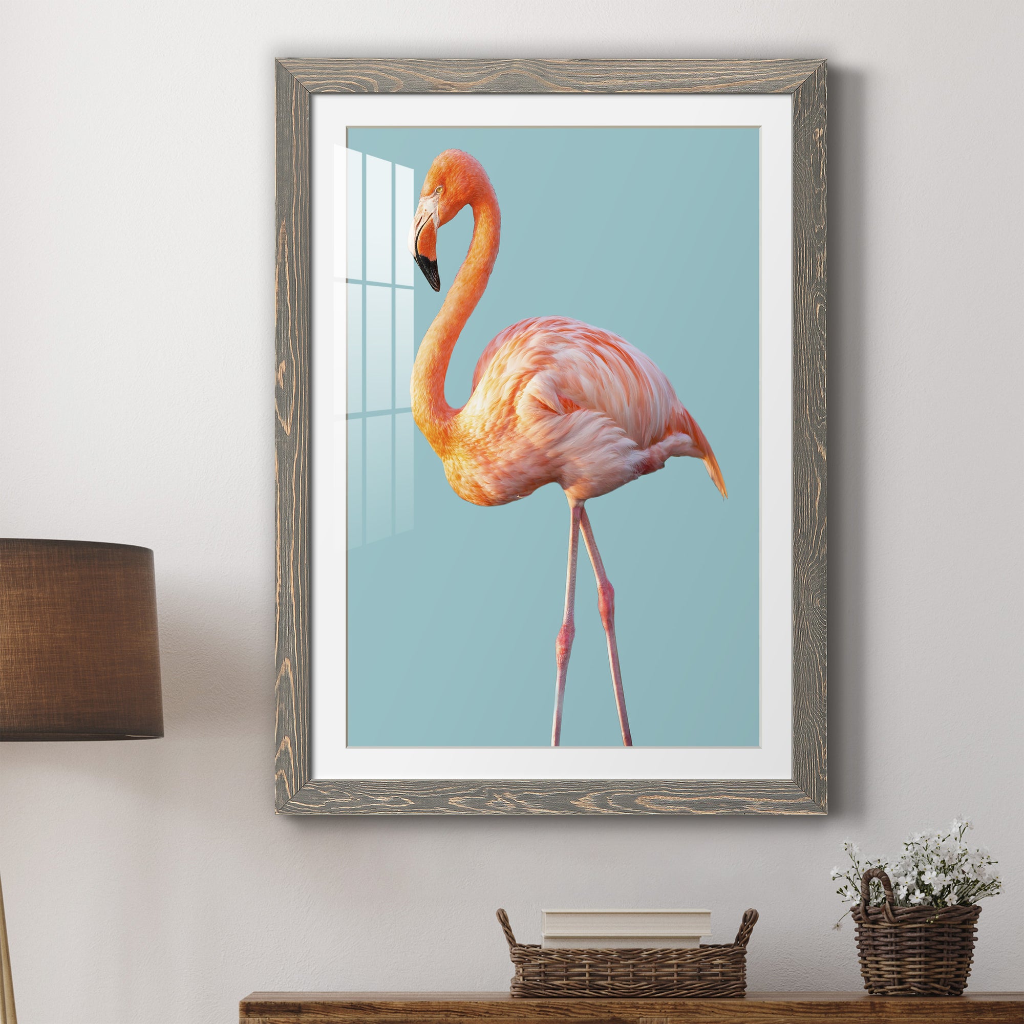 Flamingo - Barnwood