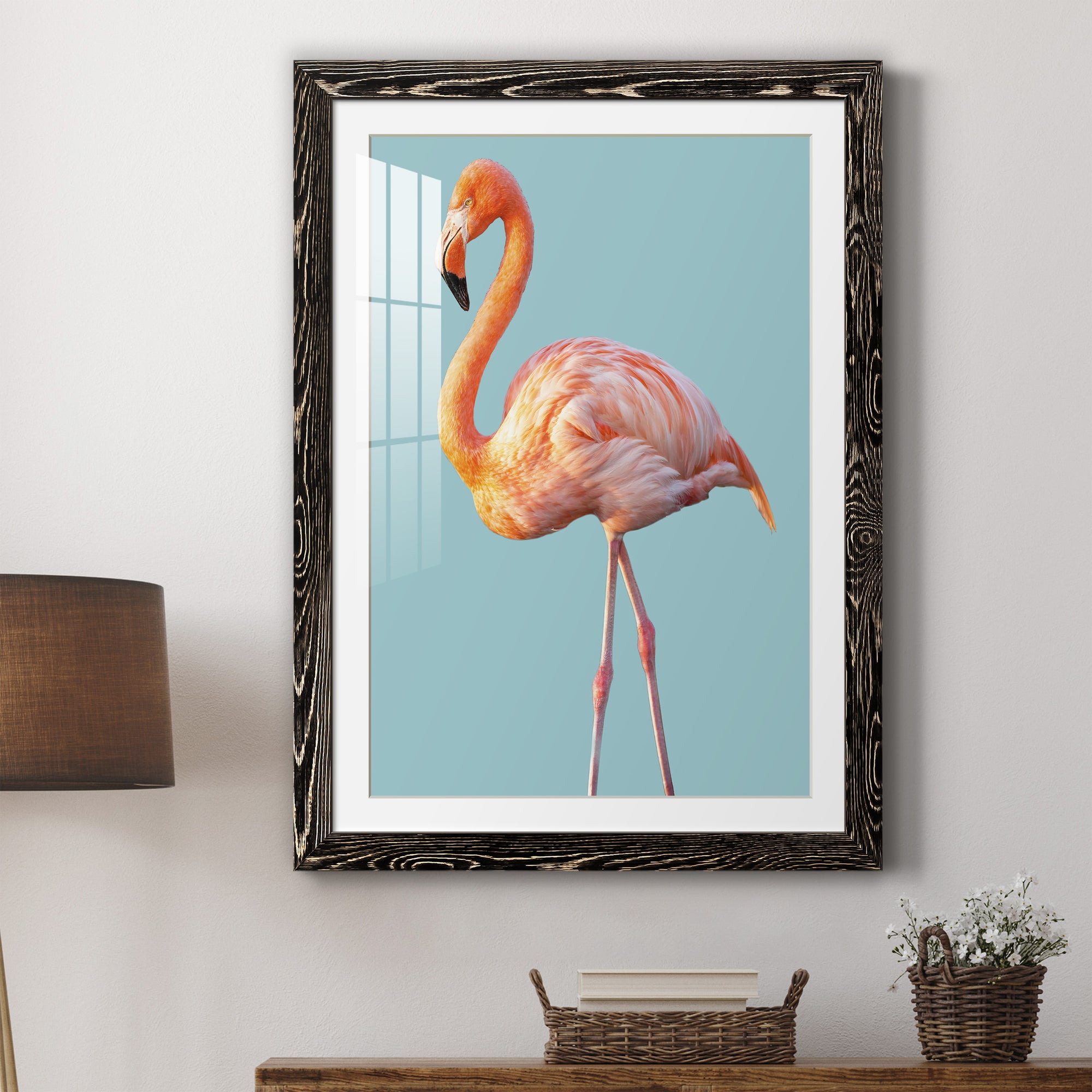 Flamingo - Barnwood
