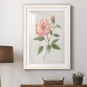 Grandiflora II - Barnwood Framed Art Print