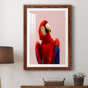 Honduras Wildlife - Barnwood