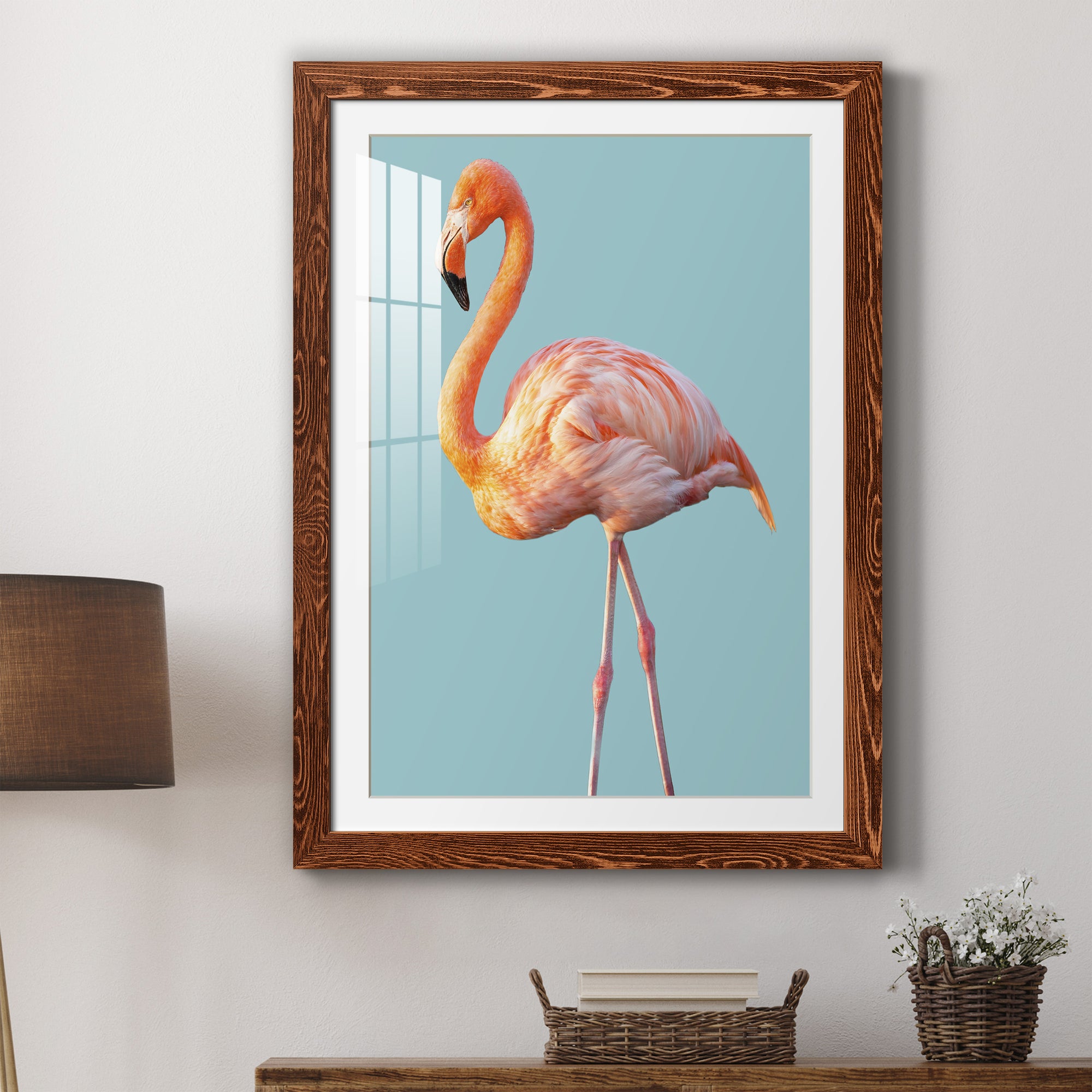Flamingo - Barnwood