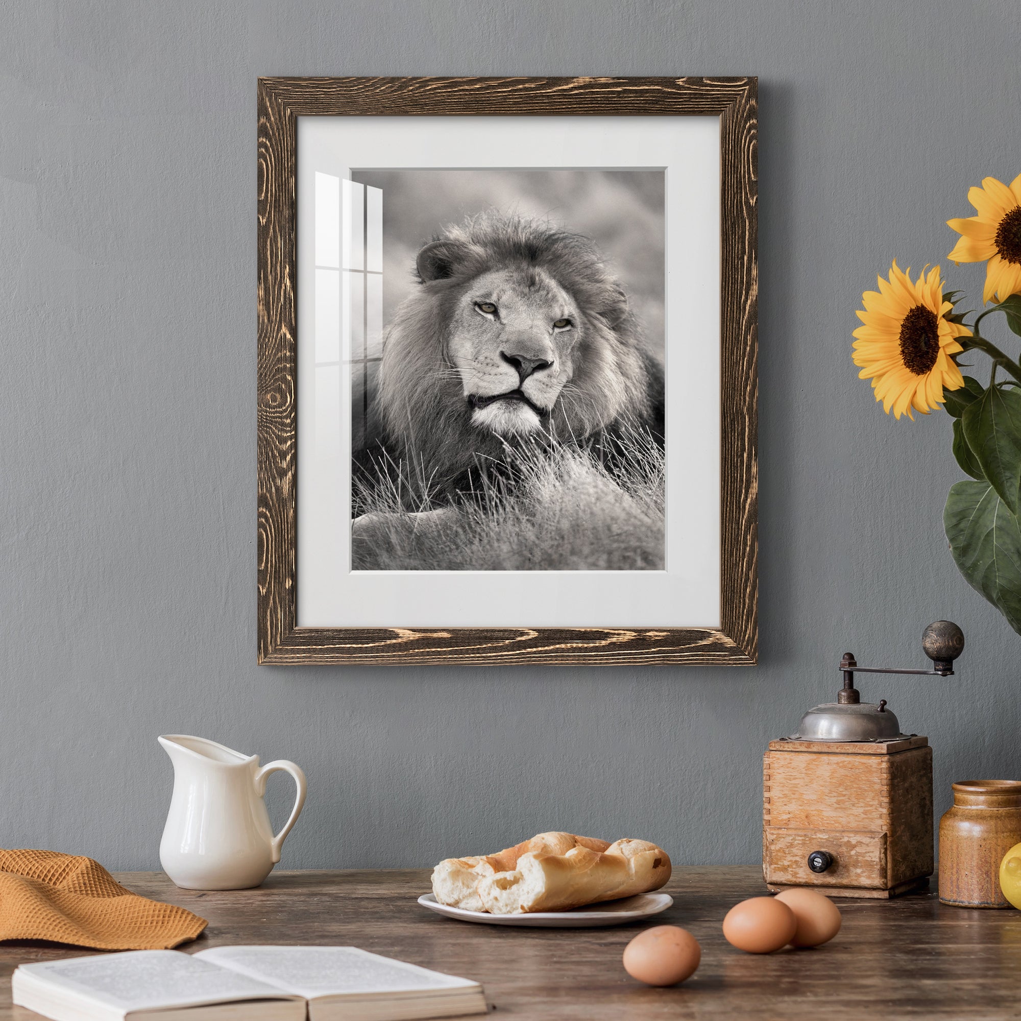 Pride of the Pride - Barnwood Framed Art Print