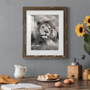 Pride of the Pride - Barnwood Framed Art Print