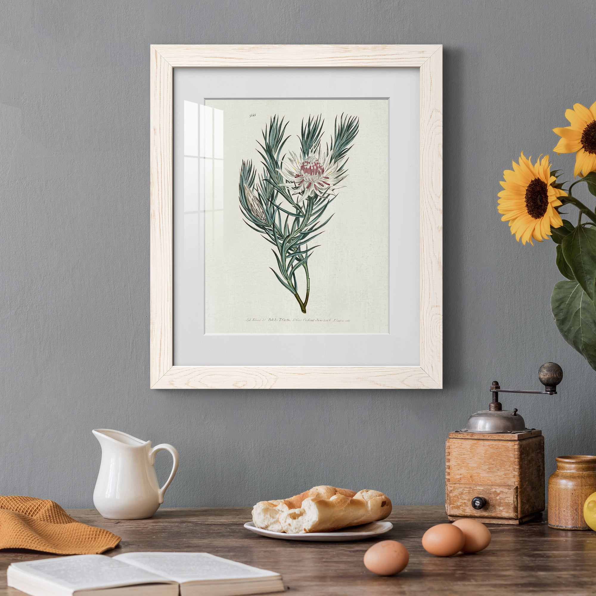 Protea N33 - Barnwood Framed Art Print