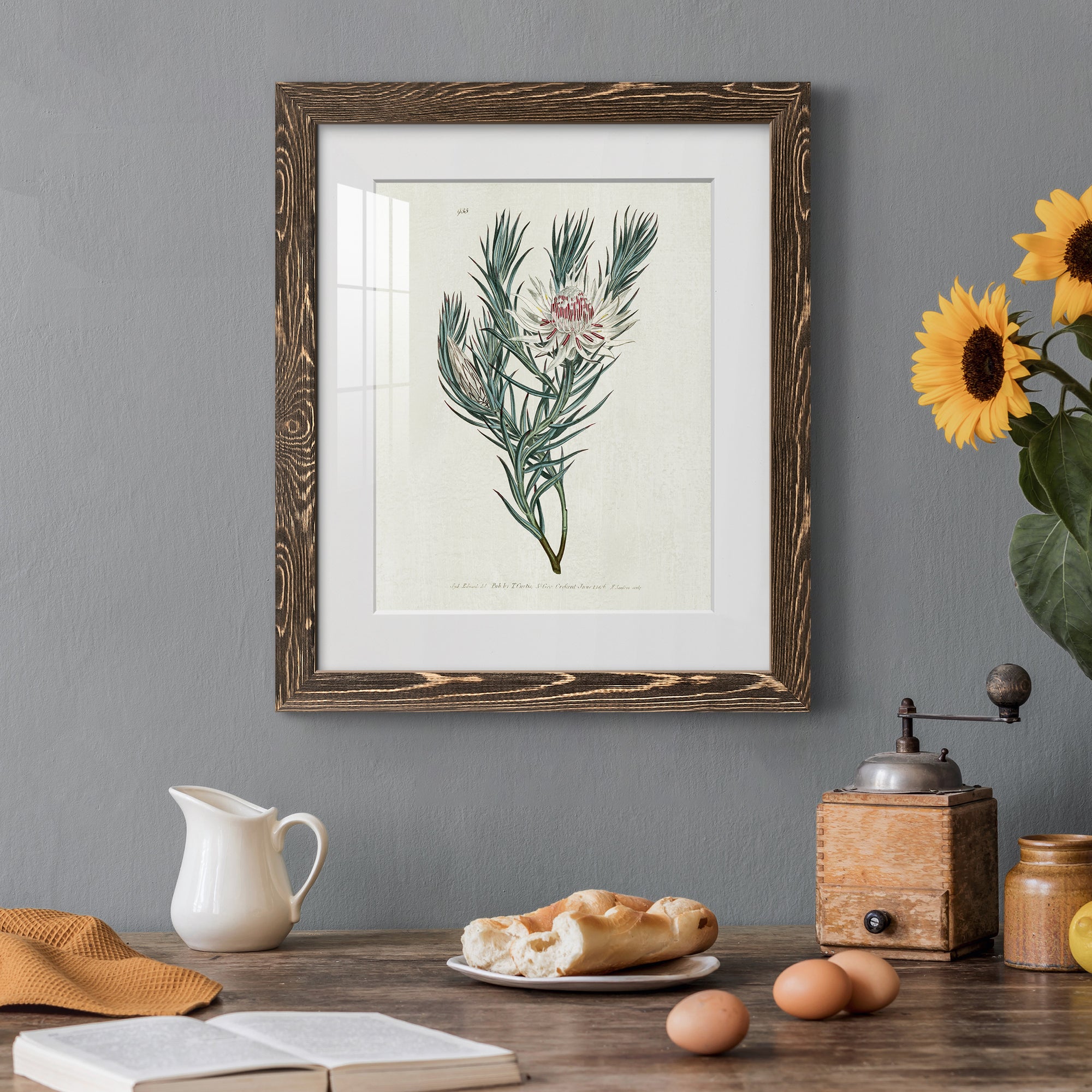 Protea N33 - Barnwood Framed Art Print