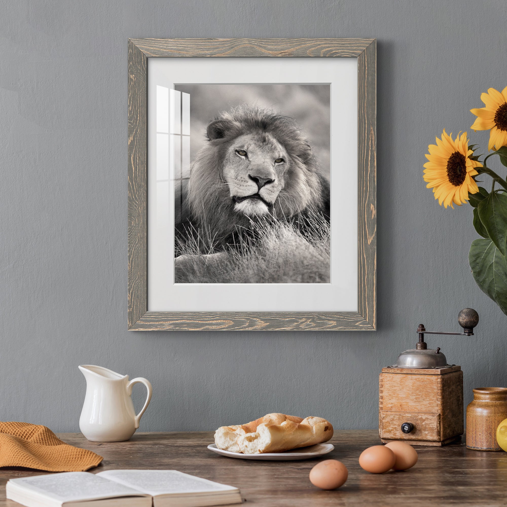 Pride of the Pride - Barnwood Framed Art Print