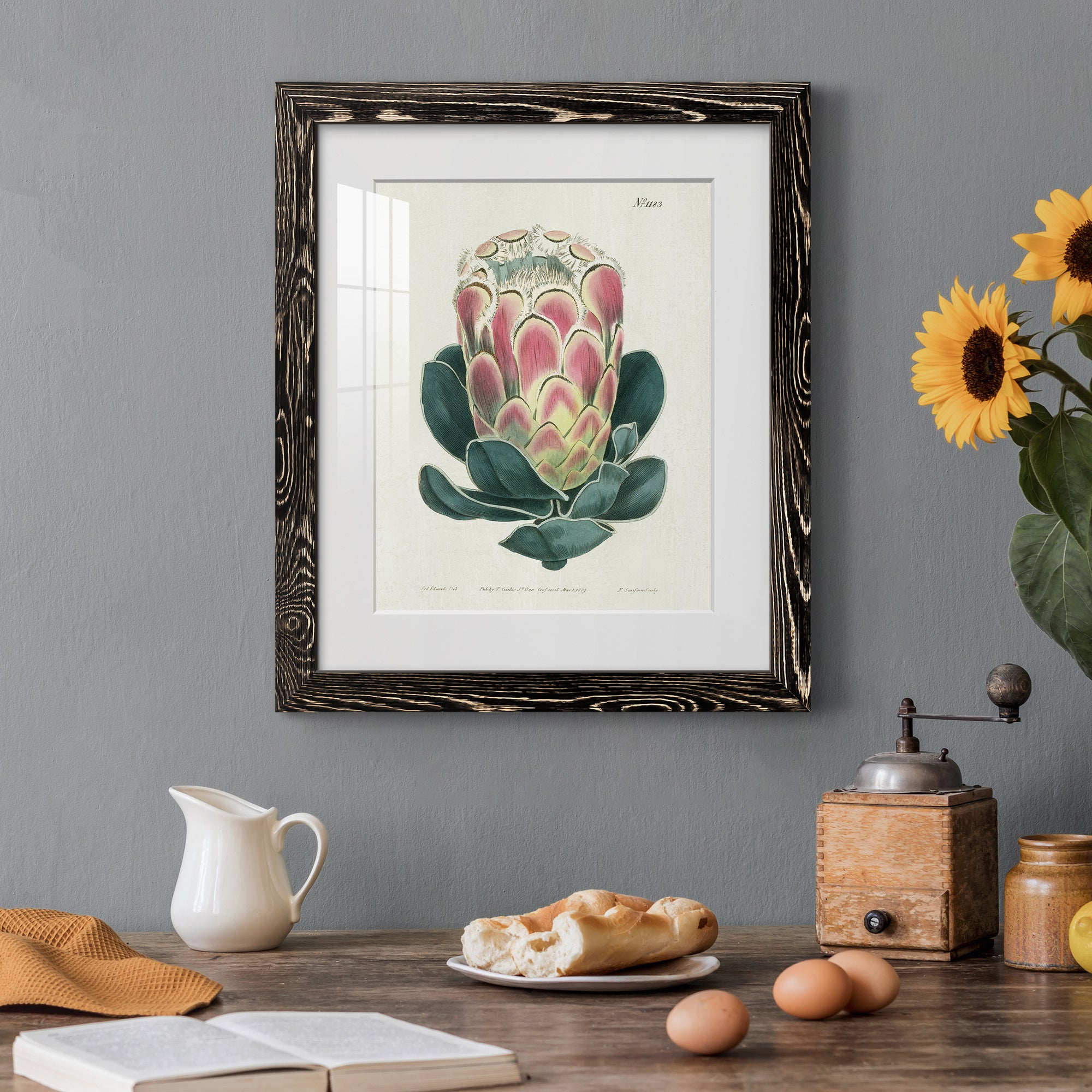 Protea N83 - Barnwood Framed Art Print