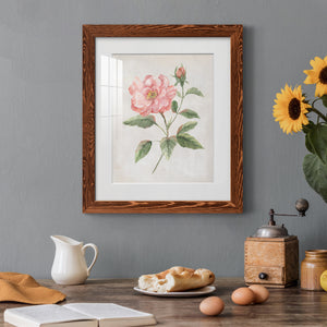 Grandiflora II - Barnwood Framed Art Print