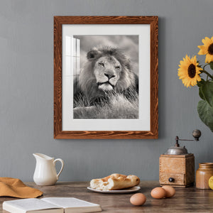 Pride of the Pride - Barnwood Framed Art Print