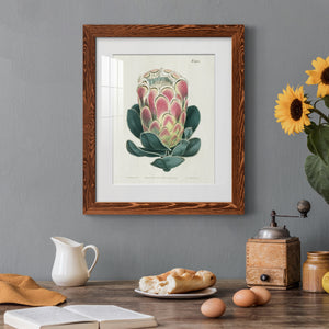 Protea N83 - Barnwood Framed Art Print