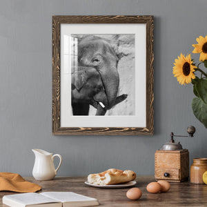 Tender Moment - Barnwood Framed Art Print