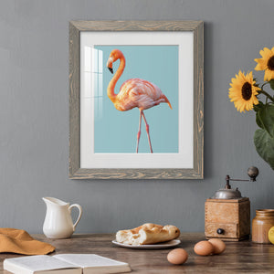 Flamingo - Barnwood