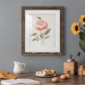 Grandiflora III - Barnwood Framed Art Print