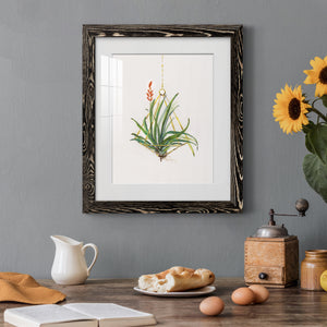 Gardenaire I - Barnwood Framed Art Print