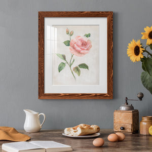 Grandiflora I - Barnwood Framed Art Print