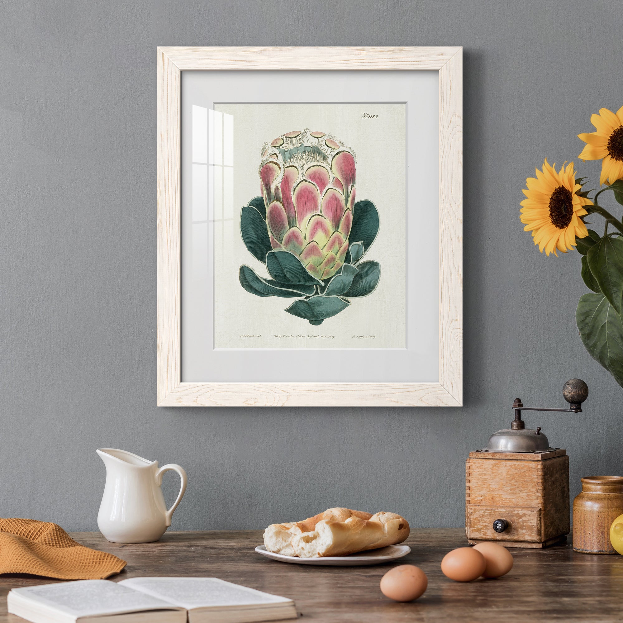 Protea N83 - Barnwood Framed Art Print