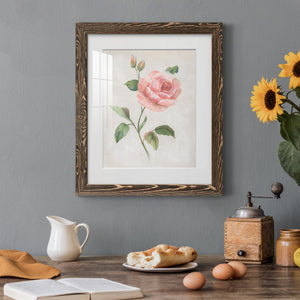 Grandiflora I - Barnwood Framed Art Print