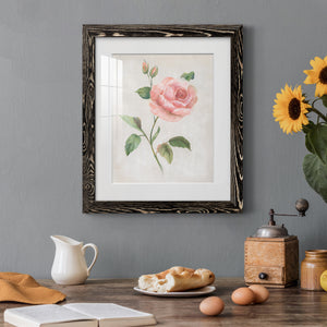 Grandiflora I - Barnwood Framed Art Print