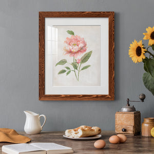 Grandiflora III - Barnwood Framed Art Print