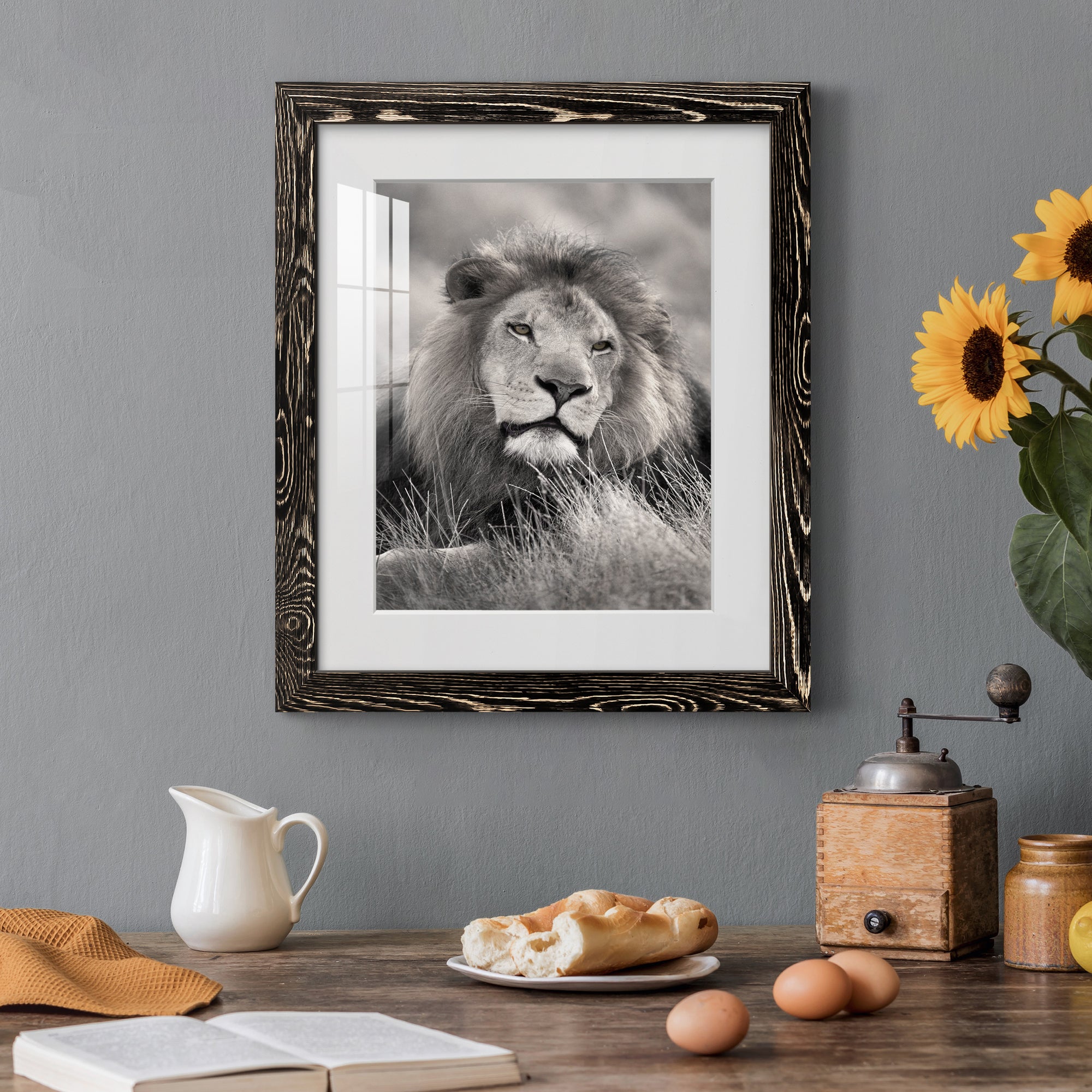 Pride of the Pride - Barnwood Framed Art Print