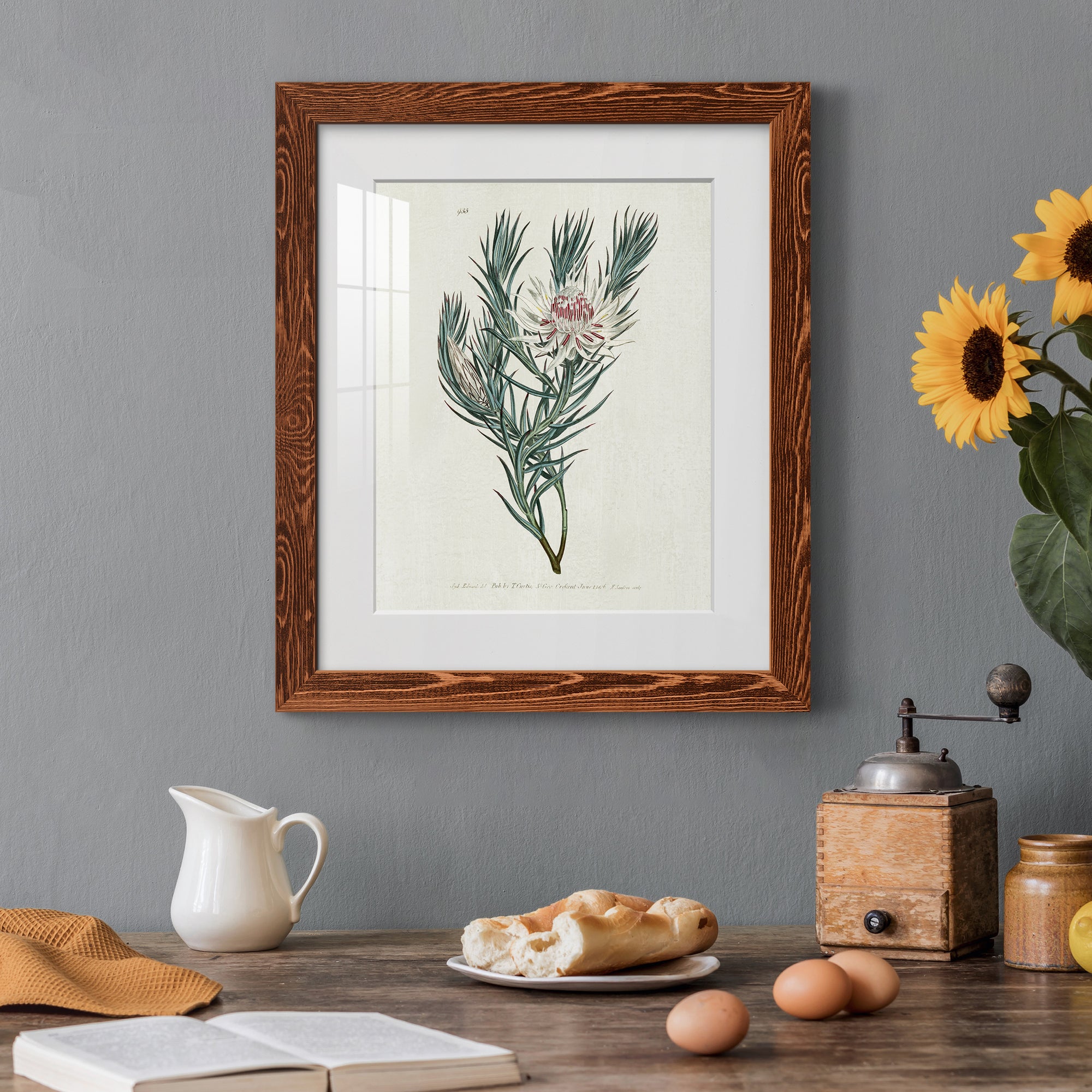 Protea N33 - Barnwood Framed Art Print