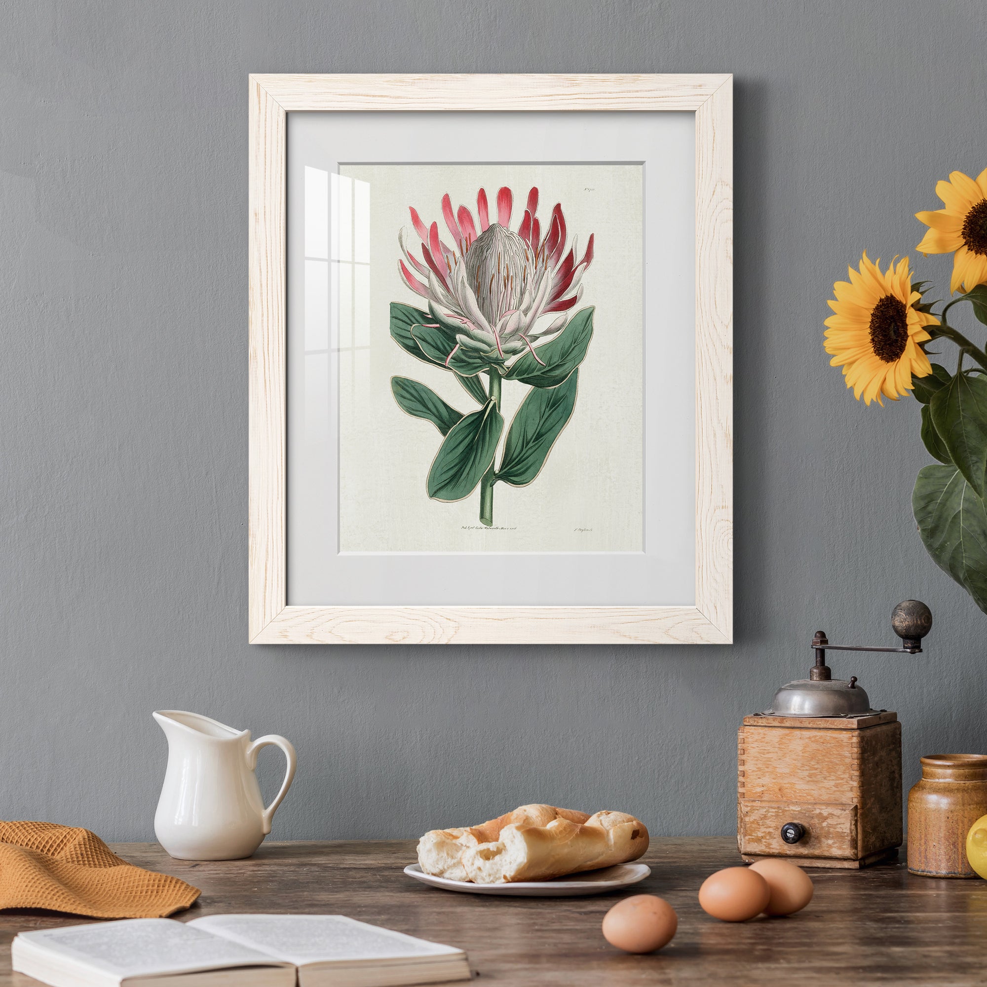 Protea N13 - Barnwood Framed Art Print