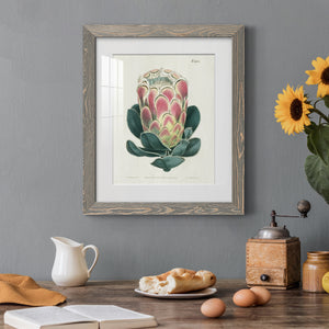 Protea N83 - Barnwood Framed Art Print