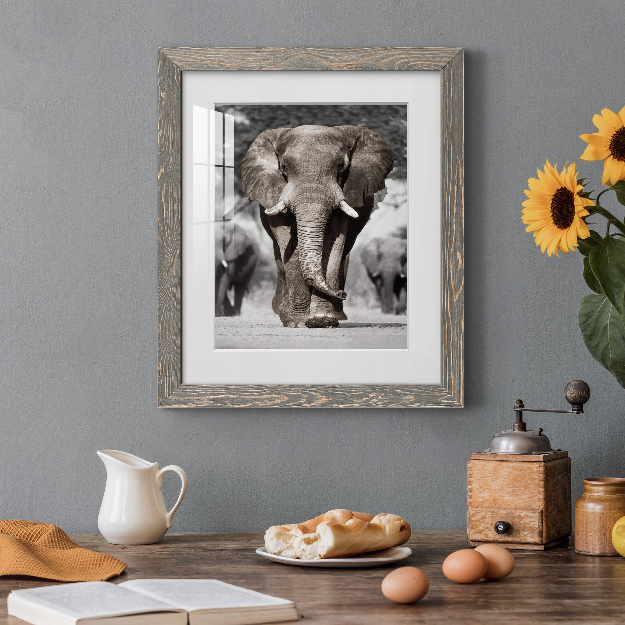 Botswana Patriarch - Barnwood Framed Art Print