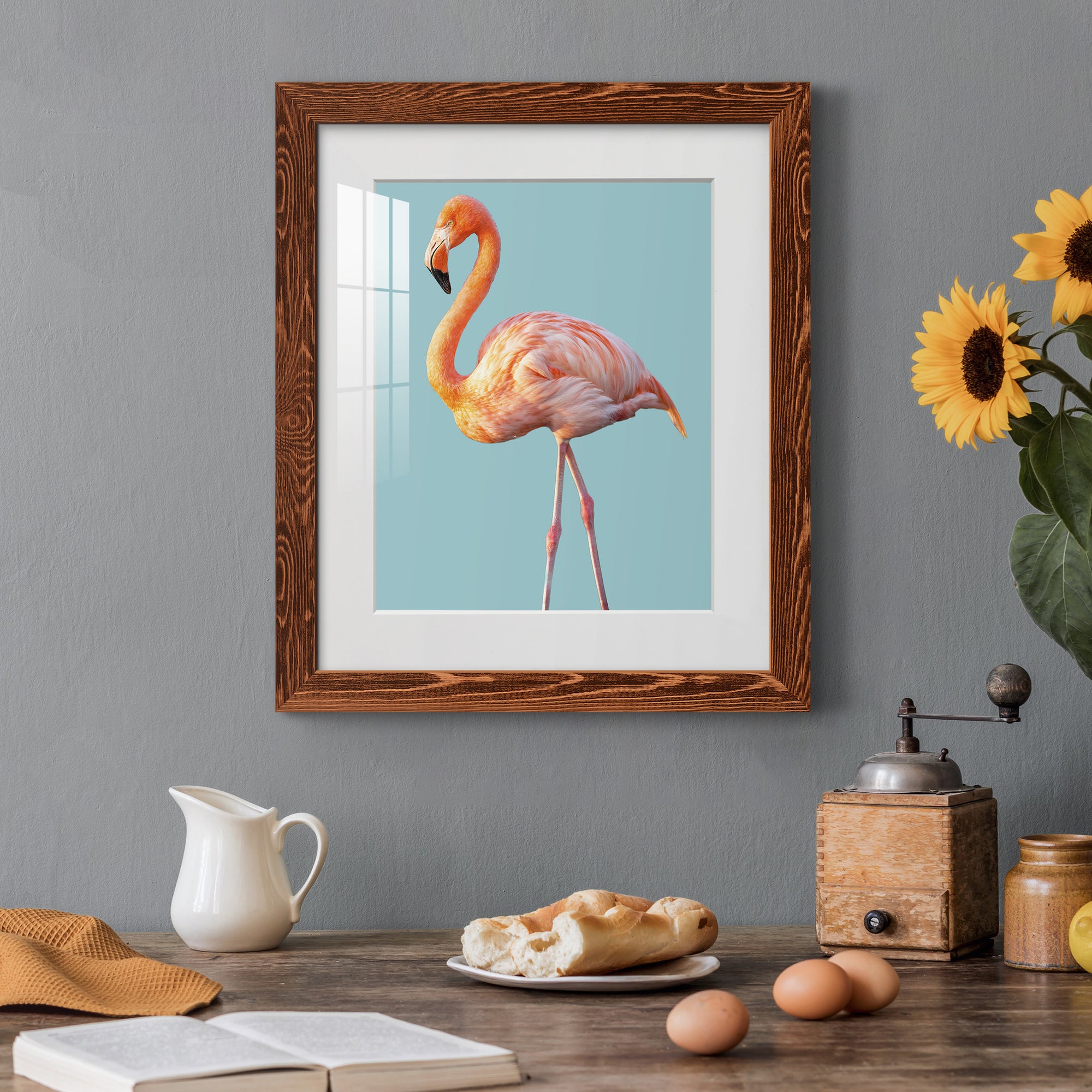 Flamingo - Barnwood