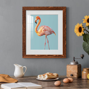 Flamingo - Barnwood