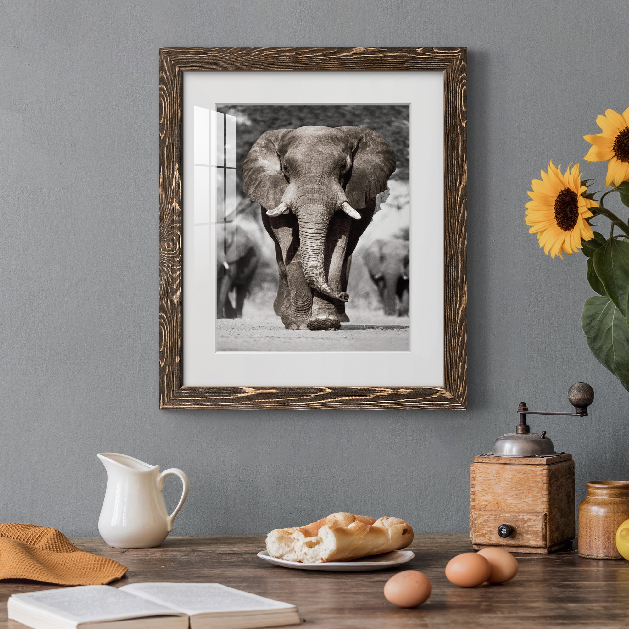 Botswana Patriarch - Barnwood Framed Art Print