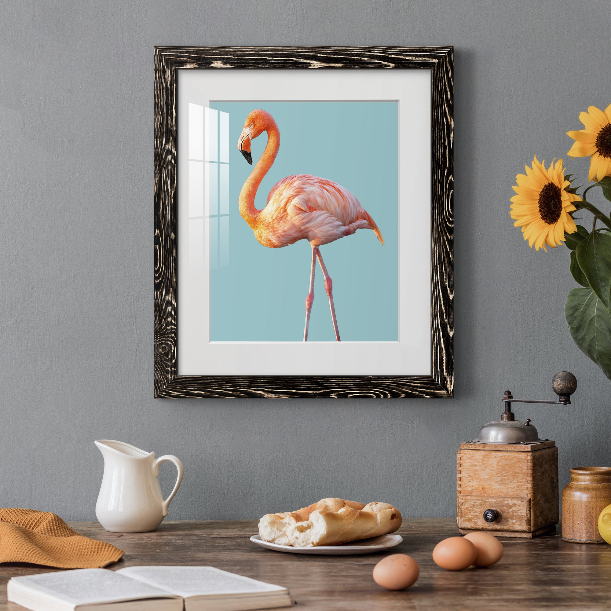 Flamingo - Barnwood