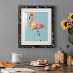 Flamingo - Barnwood