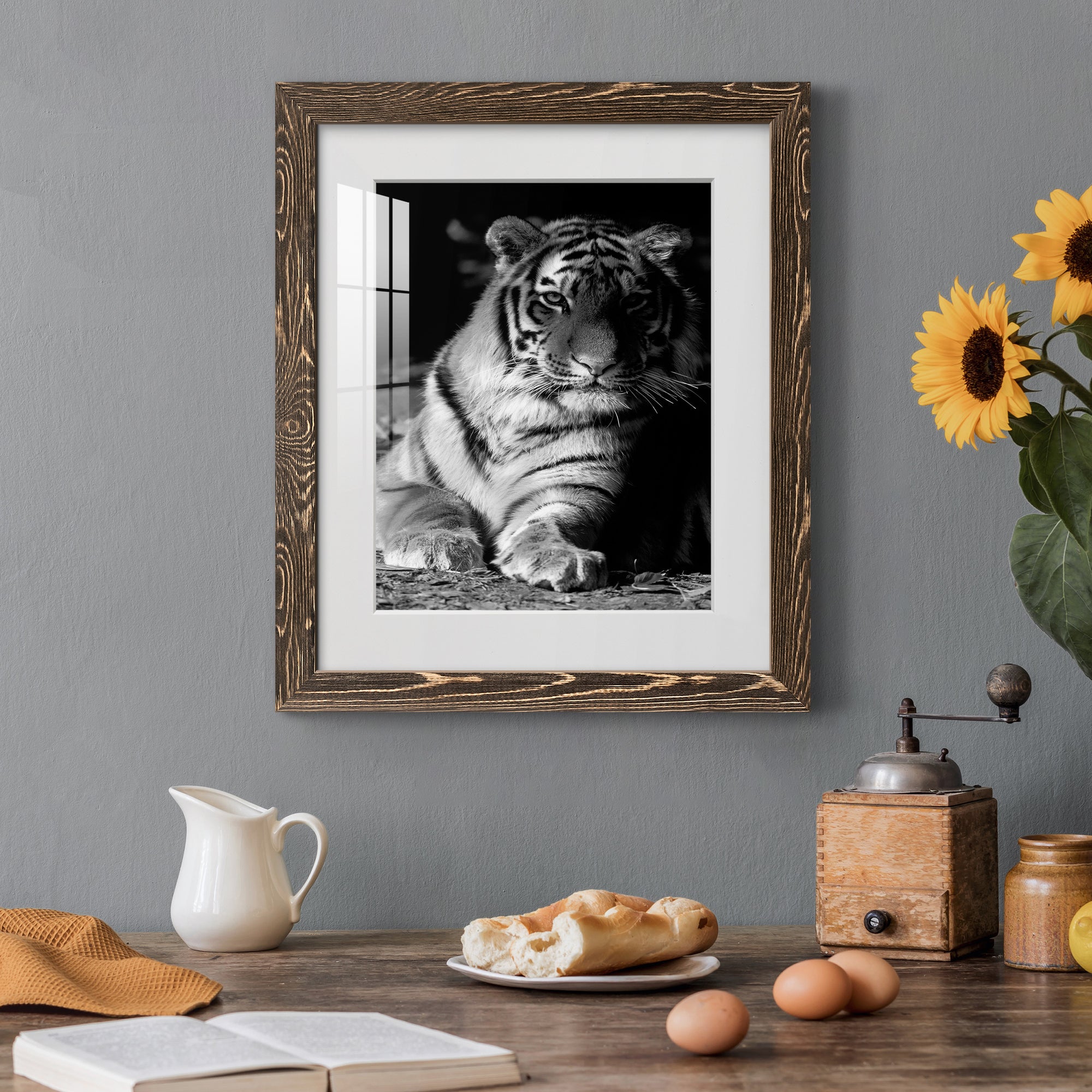 Tiger Repose - Barnwood Framed Art Print