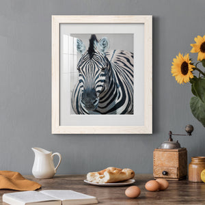 Namibia Zebra - Premium Framed Print - Distressed Barnwood Frame - Ready to Hang