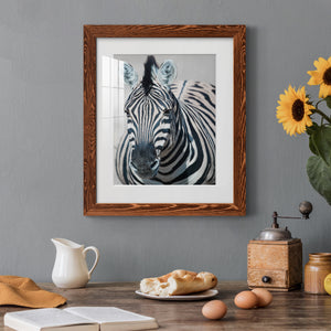 Namibia Zebra - Premium Framed Print - Distressed Barnwood Frame - Ready to Hang