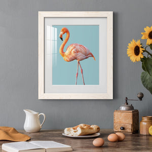 Flamingo - Barnwood